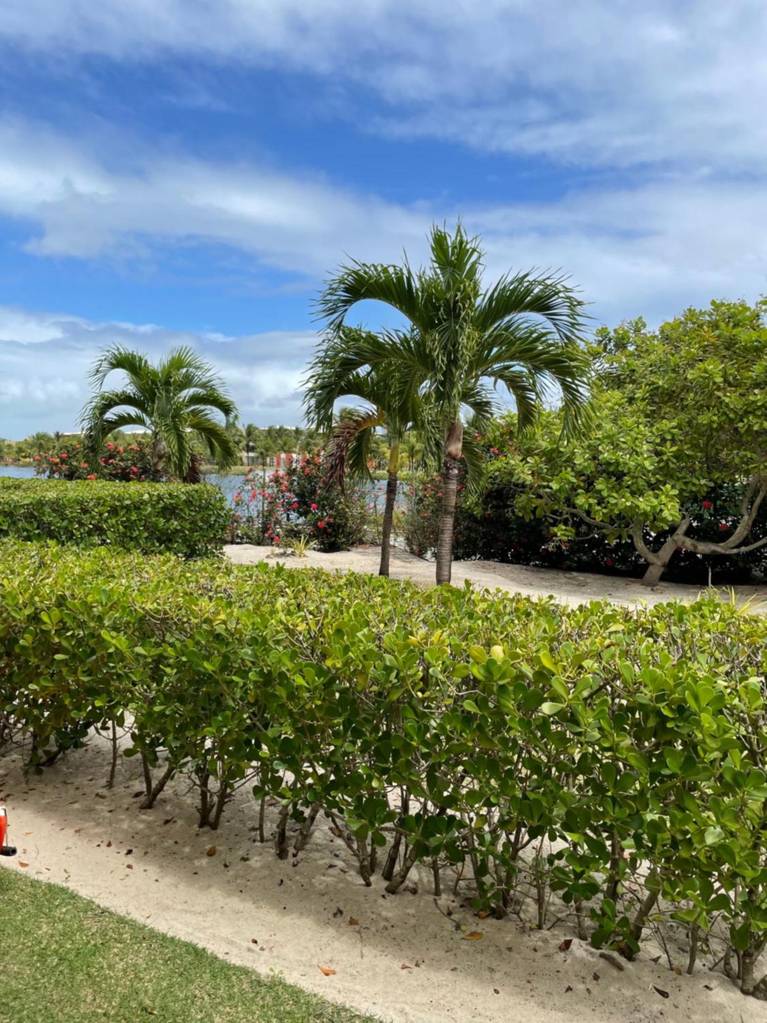 Apartamento No Condominio Iberostate Praia Do Forte Eksteriør bilde